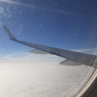 トム6174 (@8868shingo) 's Twitter Profile