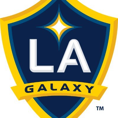 VFA La Galaxy Official Twitter.