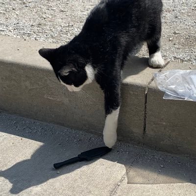 esdeaner22's profile picture. I like to grow stuff