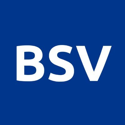 BSVBlockchain Profile Picture