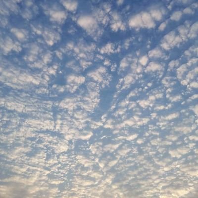 luckyyeyang's profile picture. 