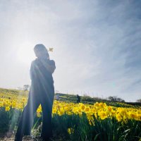 シャンディー (@odayakanihadoko) 's Twitter Profile Photo