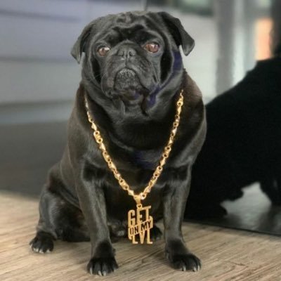 Big_Dog289's profile picture. Hey hier ist der Big_Dog und ich Streame alles möglich was mir Spaß macht