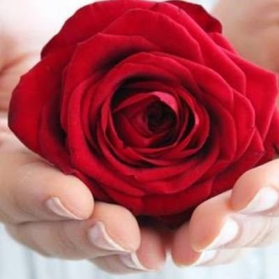 Okan70701333's profile picture. Sevgili tadında 
sohbet muhabbet edecek bayanlar  Arzu ve Tutkular Duygular anlatılmaz yaşanır  Merhabalar 🌹