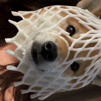 mxmixxi's profile picture. 🐇