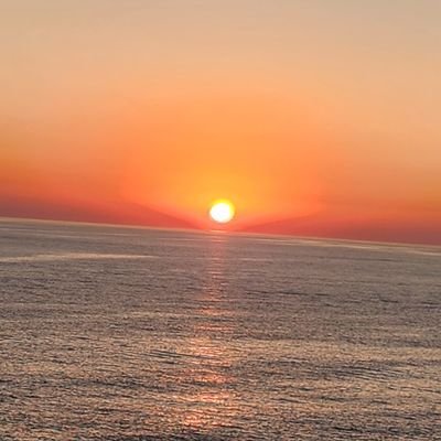 zaintanoli's profile picture. Nothing special ;)