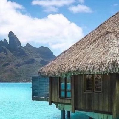 sniabxnxja's profile picture. 