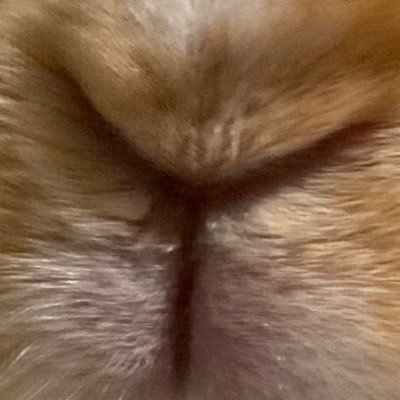 ぬさんのプロフィール画像
