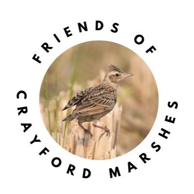 Friends of Crayford Marshes in @LBofBexley sharing wildlife sightings, photography and news from the Crayford Marshes. #CrayfordMarshesVision