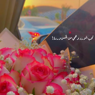 almarriq8__'s profile picture. مُعلِّمة وطَالـبة عِلْم | ﴿لا أَبرَحُ حَتّى أَبلُغَ﴾ بإذن الله 💕 .