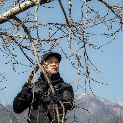 リンゴ農家。気合いと根性で回っている現場を変えるべく試行錯誤をしています。プログラミングスクール「SUNABACO」受講中。日々の学びを共有していきます！
#DXあんとれ1st
#DX7th
#SUNABACO