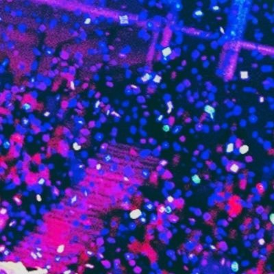 dylanwoodley's profile picture. artist