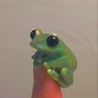 Stacey (@snailmailwoop) 's Twitter Profile
