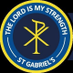 St Gabriel’s Science (@GabsScience) Twitter profile photo