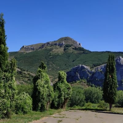 Si se enfría nuestro amor, se entumece nuestra acción. (San Agustín)