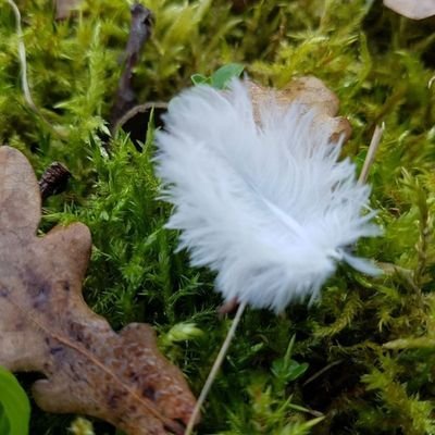 gomita38997032's profile picture. reflexivs