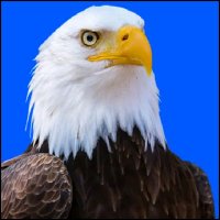 Radwan Alkabir (@alkabirrad89973) Twitter profile photo