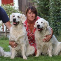 Lene Kramer (@lenekramer2) 's Twitter Profile Photo Lene Kramer (@lenekramer2) 's Twitter Profile Photo