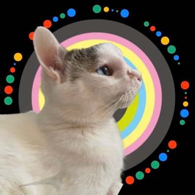 特定非営利活動法人SHIROCURO 代表/18.8月始→23.5月法人化/一級愛玩動物飼養管理士/名古屋市動物愛護推進員/各種プレミアムフード正規取扱店/消防団所属/ #みんなで野良猫ゼロ作戦【公式X】@SHIROCURO2023