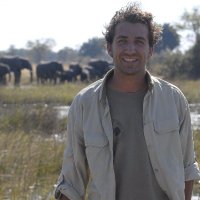 JG Collomb🐾 (@wildlifejg) 's Twitter Profile Photo JG Collomb🐾 (@wildlifejg) 's Twitter Profile Photo