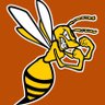 Hornets08_Plank's profile picture. Premier travel softball team in Richmond Virginia