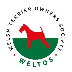 Welsh Terrier Owners Society
A friendly club for owners of Welsh Terriers in and around London and the South East of England
https://t.co/OqeZCmee5n