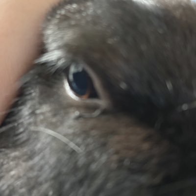 ときわさんのプロフィール画像