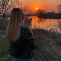 Sarah (@sarahziminski21) 's Twitter Profile