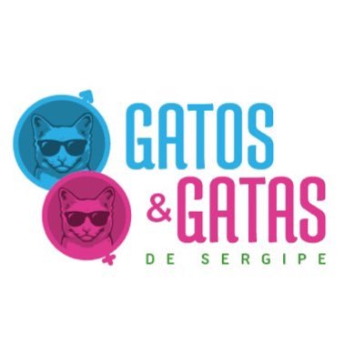 Apenas com um fim de entretenimento, vamos postar os gatos e as gatas de Sergipe. Curtam e Comentem. Instagram: @gatosegatase