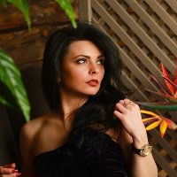 Rosie (@voss_rosie) 's Twitter Profile