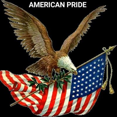 Proud American Patriot . 

❤️ 🇺🇸