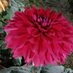 জীবনের খেলাঘর (@naha7834naha) Twitter profile photo জীবনের খেলাঘর (@naha7834naha) Twitter profile photo