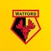Watford FC 🇧🇷 (@WatfordBrasil) Twitter profile photo