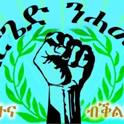 First Eritrean Opposition Website: News and Views for information and engagement on Eritrea
