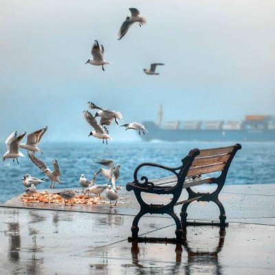 Monarh799's profile picture. Marketing