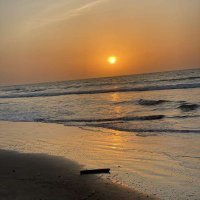 Ousman (@ousman389781502) 's Twitter Profile