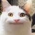 Tenom cadian my goat (@tenom_t30) Twitter profile photo Tenom cadian my goat (@tenom_t30) Twitter profile photo