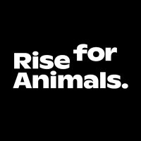 Rise for Animals (@rise_foranimals) 's Twitter Profile Photo Rise for Animals (@rise_foranimals) 's Twitter Profile Photo