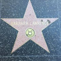 Barbara Lawrence(@bllaw927) 's Twitter Profileg