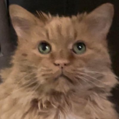 mjones561's profile picture. 