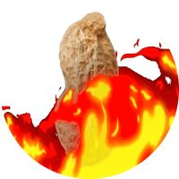 theburntpeanut (@theburntpeanut) 's Twitter Profile