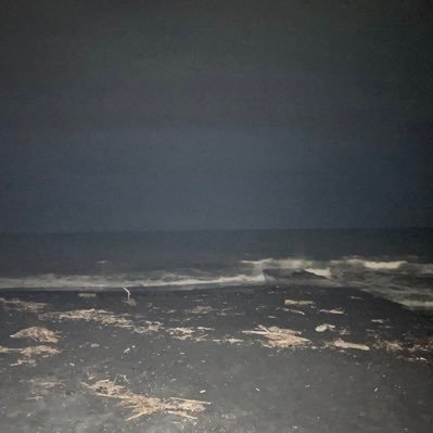 _y_ork's profile picture. https://t.co/beHj3hW2KU