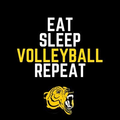 Official Account for the Hastings Fighting Bears Volleyball Program • Trust the Process 🏐