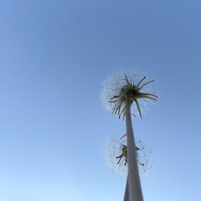 PuChen2022's profile picture. Pu.Chen