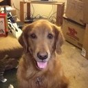 Angelina Gray - @Angaweeena123 - Twitter