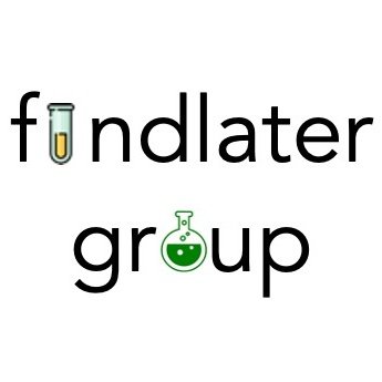 Michael Findlater Profile