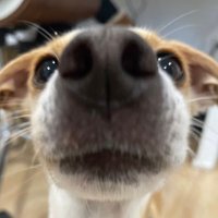 Enduuh (@enduuh_) Twitter profile photo