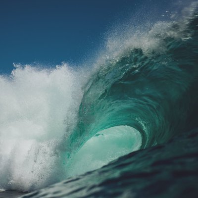 TraderDan76's profile picture. 