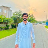 syed Zeeshan Gillani(@syedZeeshanGi19) 's Twitter Profile Photo