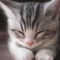 (=^・^=) (@vif2m0) 's Twitter Profile